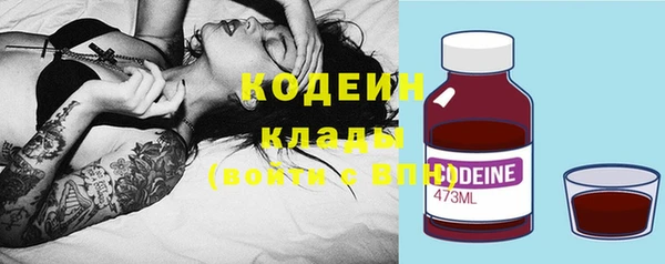 ГАЛЛЮЦИНОГЕННЫЕ ГРИБЫ Корсаков
