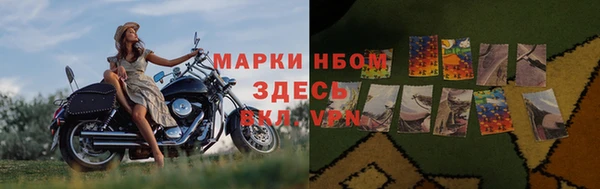 хмурый Коряжма