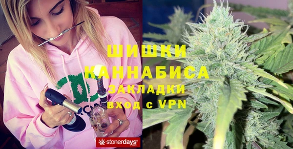 ГАЛЛЮЦИНОГЕННЫЕ ГРИБЫ Корсаков