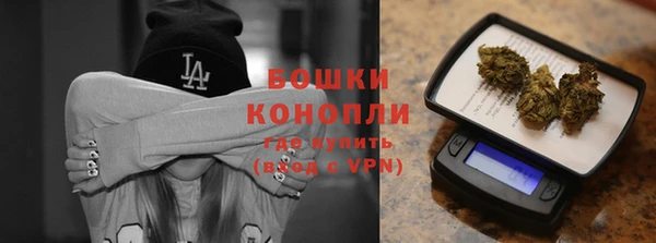 ГАЛЛЮЦИНОГЕННЫЕ ГРИБЫ Корсаков