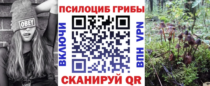 Псилоцибиновые грибы мухоморы  Стародуб 